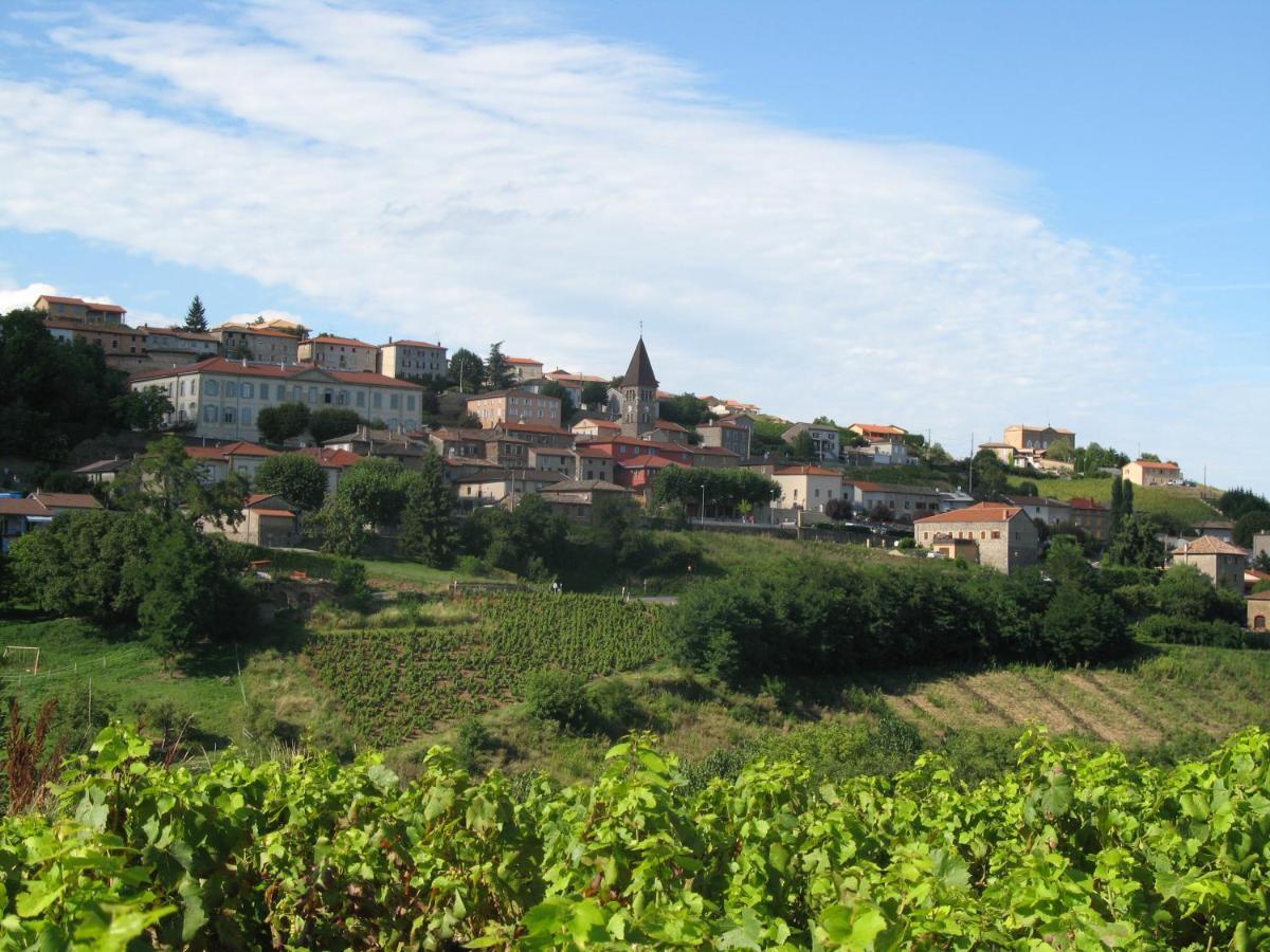 Domaine Des Gardette Vaux-en-Beaujolais Exterior foto
